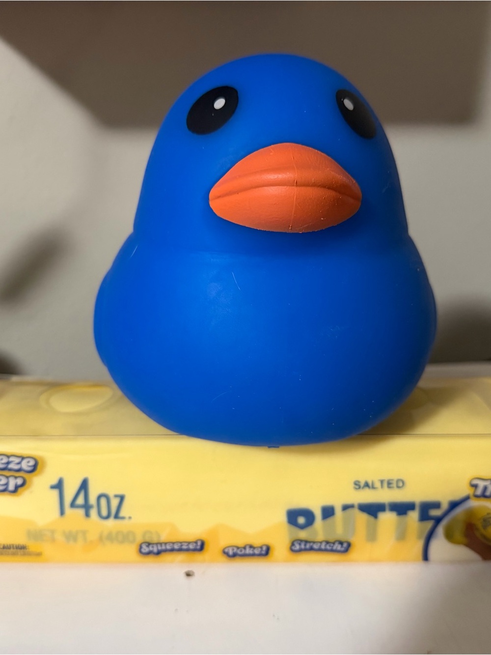 Blue Rubber Bird Pet Toy with Orange Beak